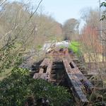 Firefly Trail