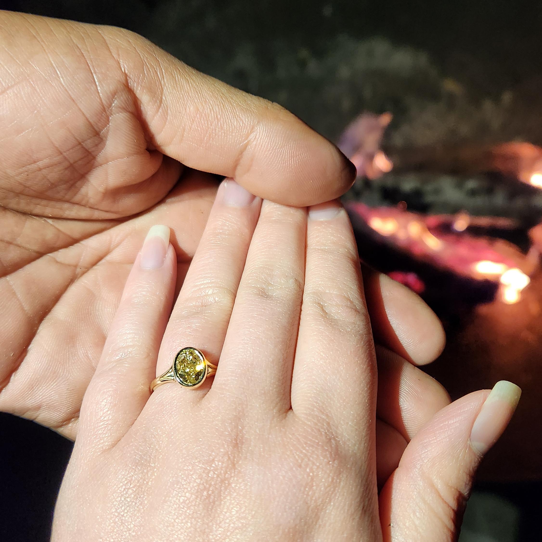 Happy and engaged, Catskills, September 2024.