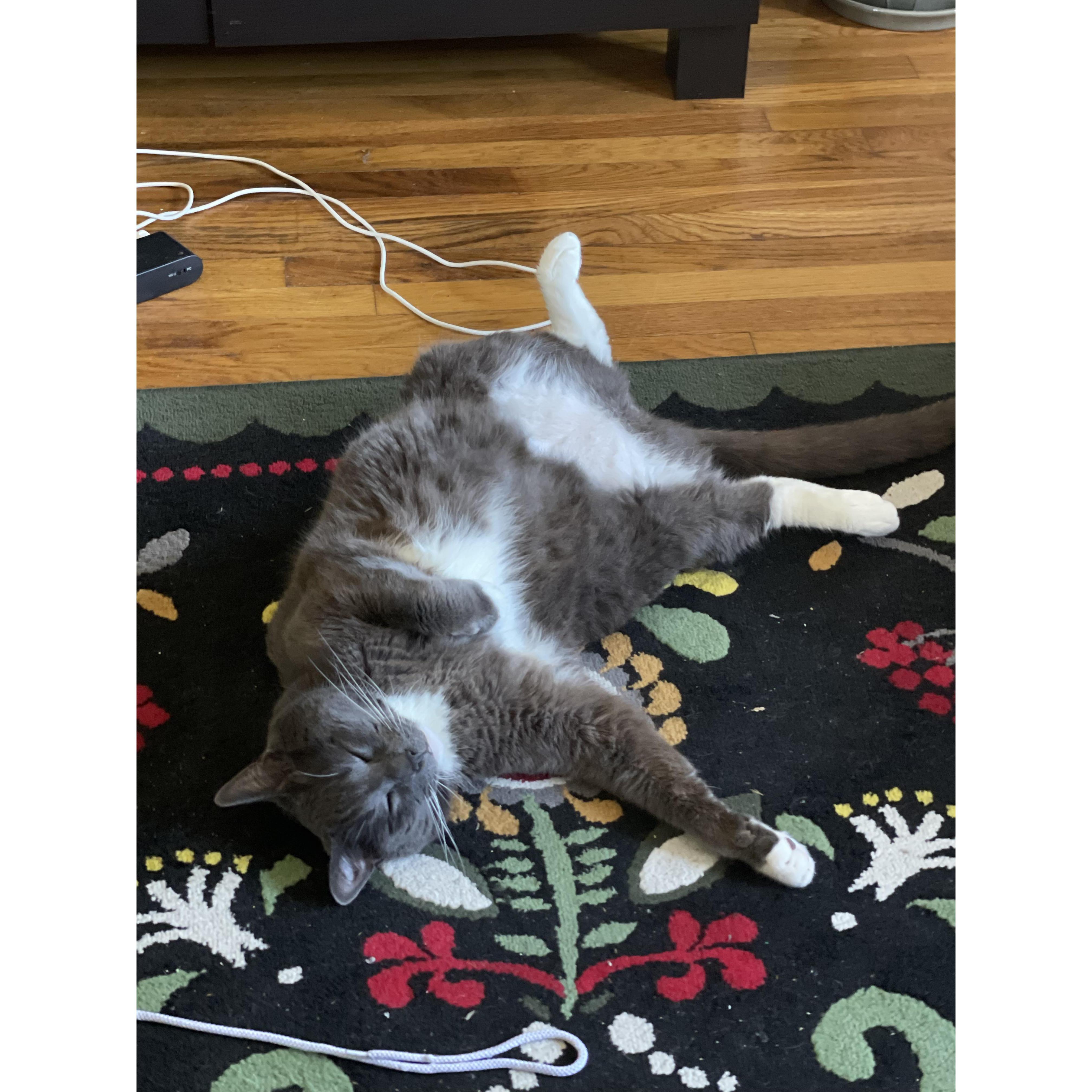 Luc, the third [but really first] member of the household