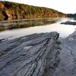 Dinosaur Footprints
