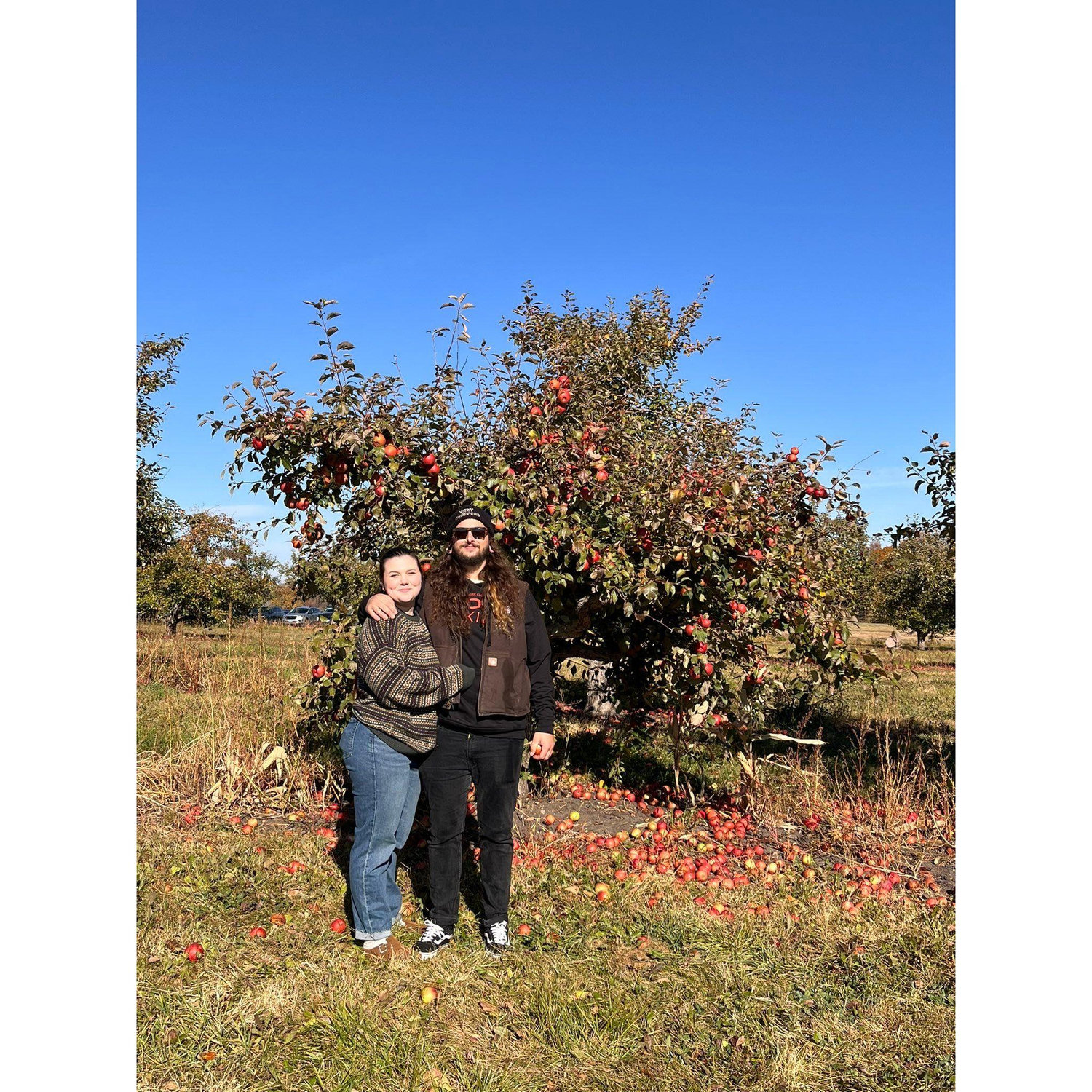 Apple Orchard, we launched apples out of cannons