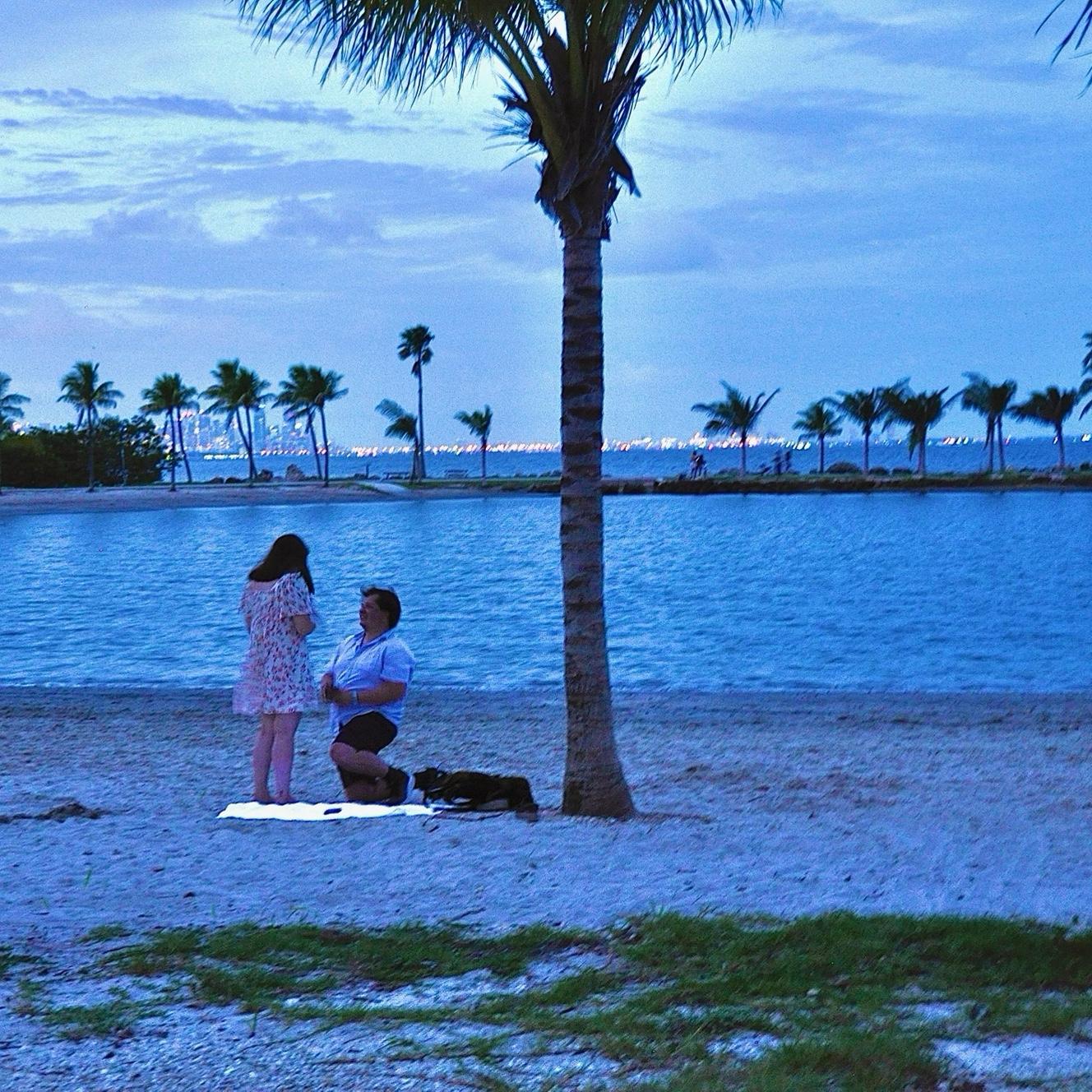 The night Daniel proposed