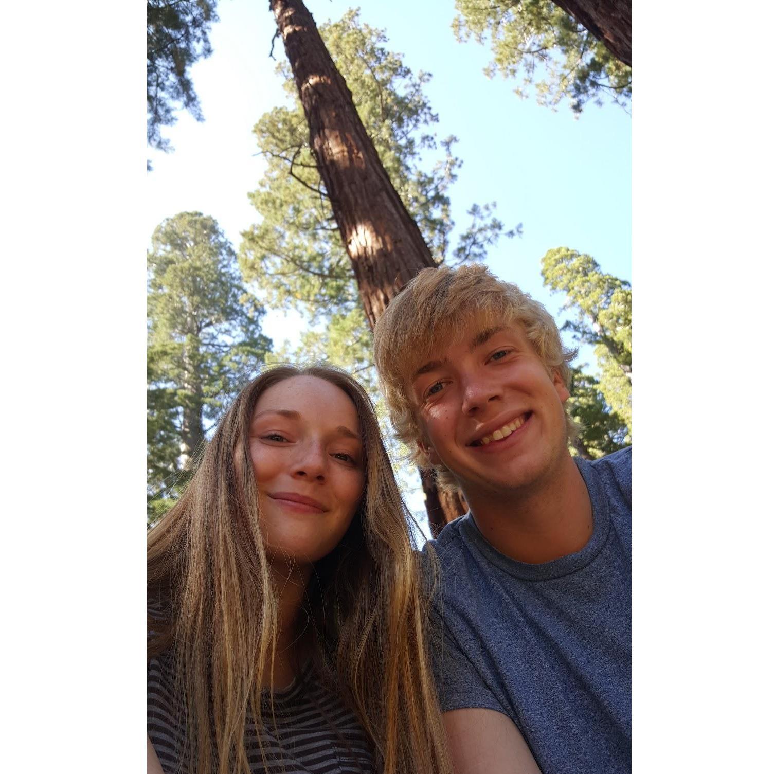 Visiting Sequoia National Park!