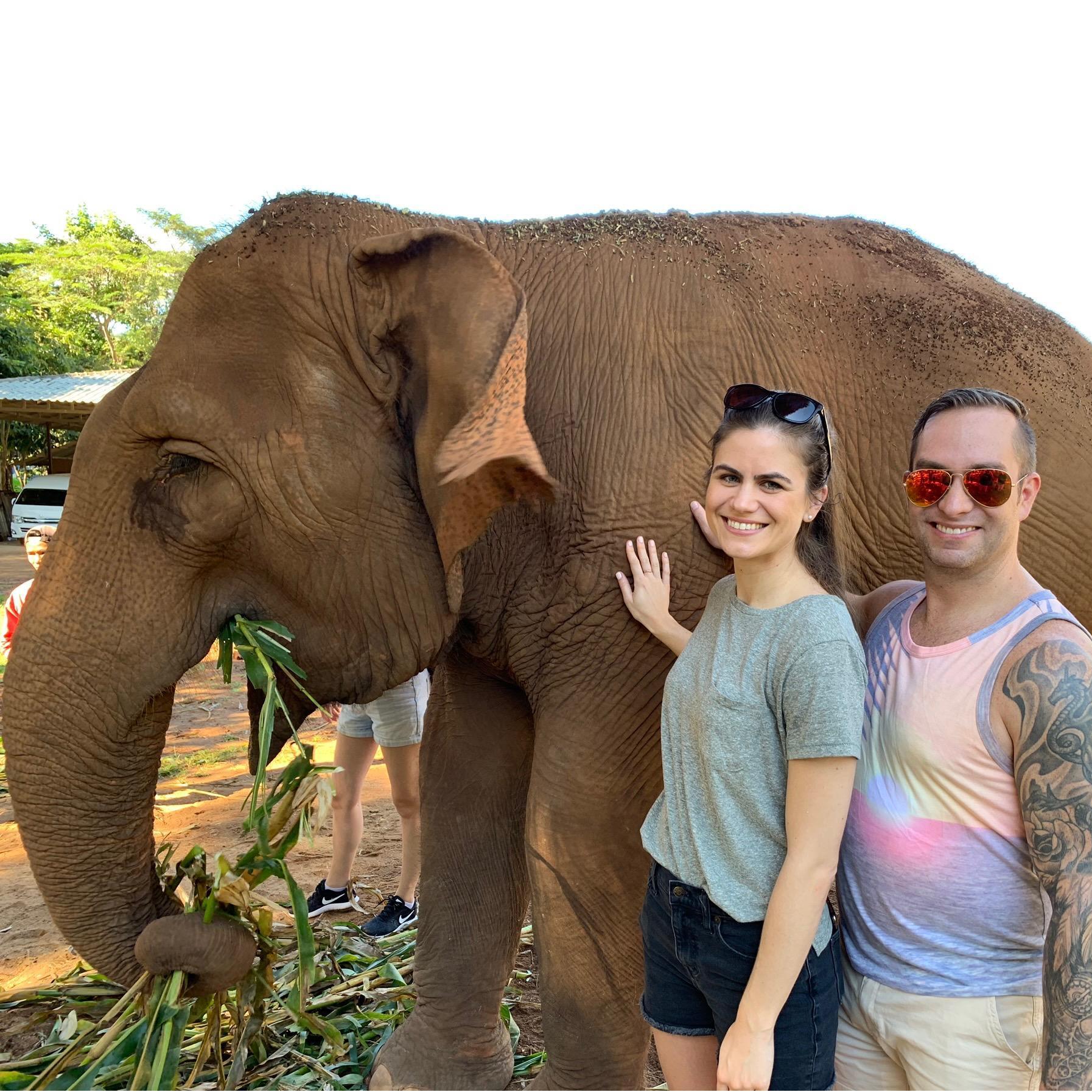 Visiting the elephant sanctuary in Thailand