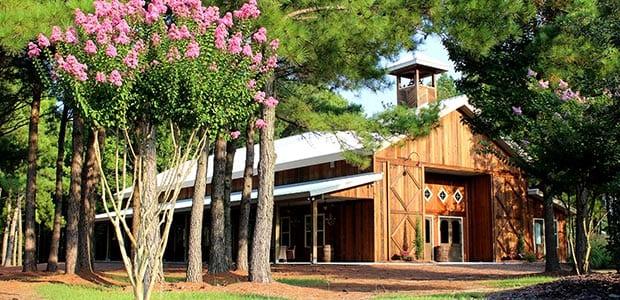 The Wedding Website of Nicole Sanderhoff and Greg Lovell