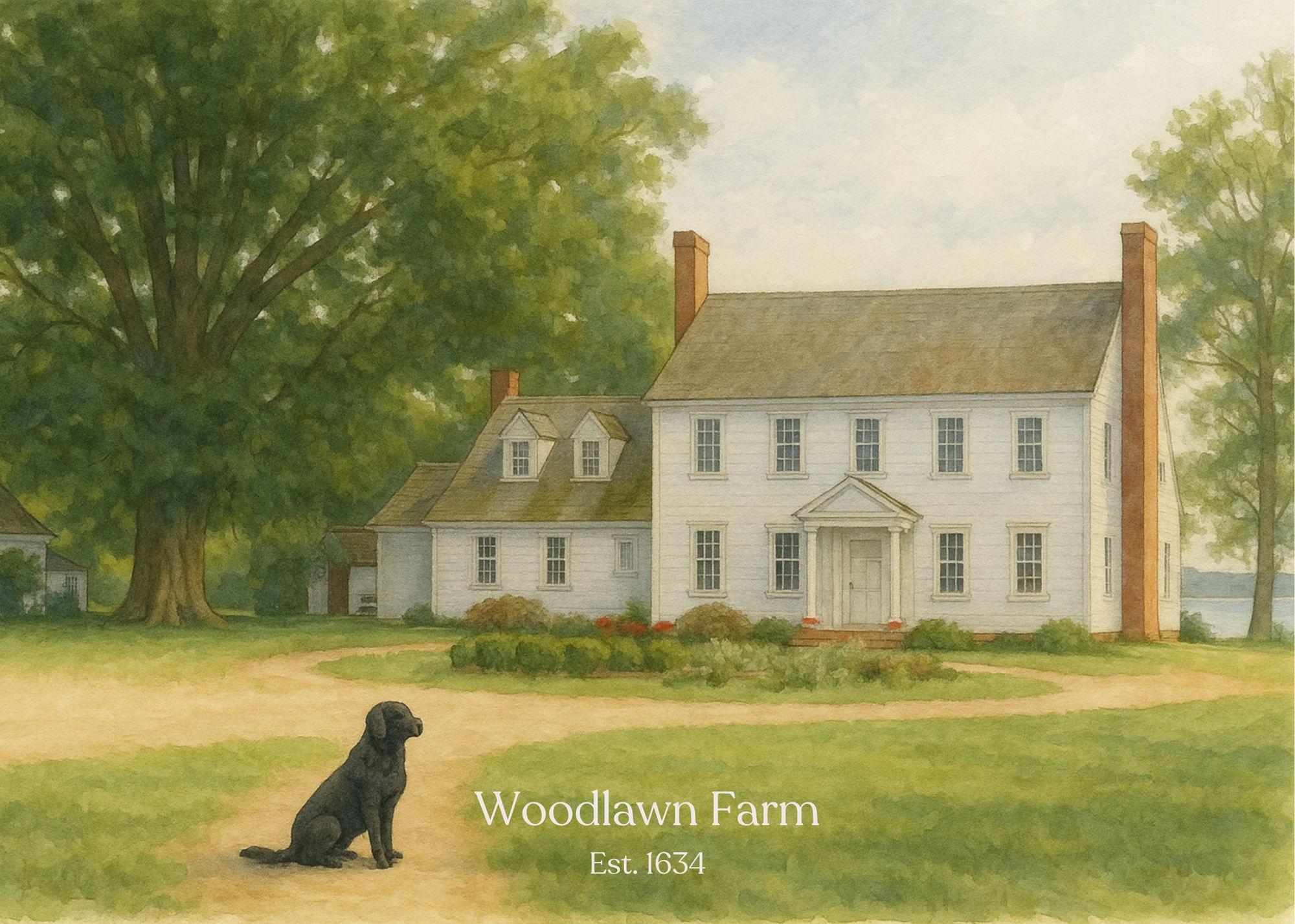 The Wedding Website of Katie Macleay and Trevor Sieracki