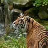 Akron Zoo
