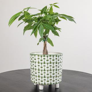 Footed Stoneware Planter