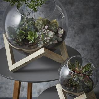Tokio Glass Ball