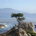 17-Mile Drive