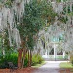 Hampton Park
