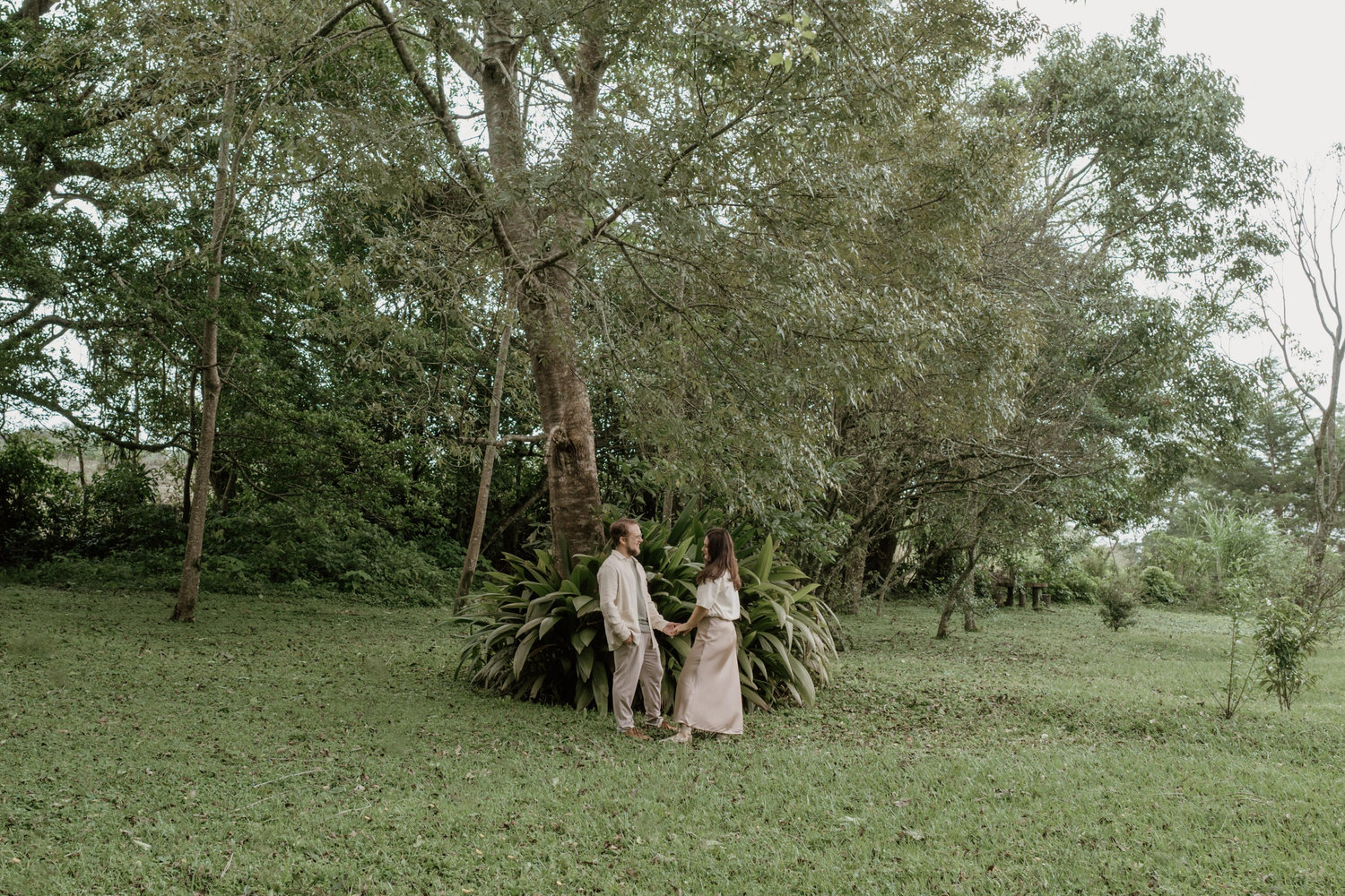 The Wedding Website of Luisa M. Cordero and Jorge E. Dall´Anesse