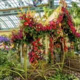 Bellagio Conservatory & Botanical Gardens