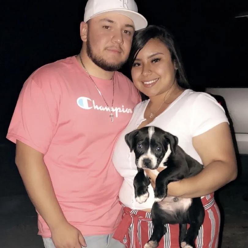 JULY 05, 2020
Nuestro primer bebé, Daxx 🐶