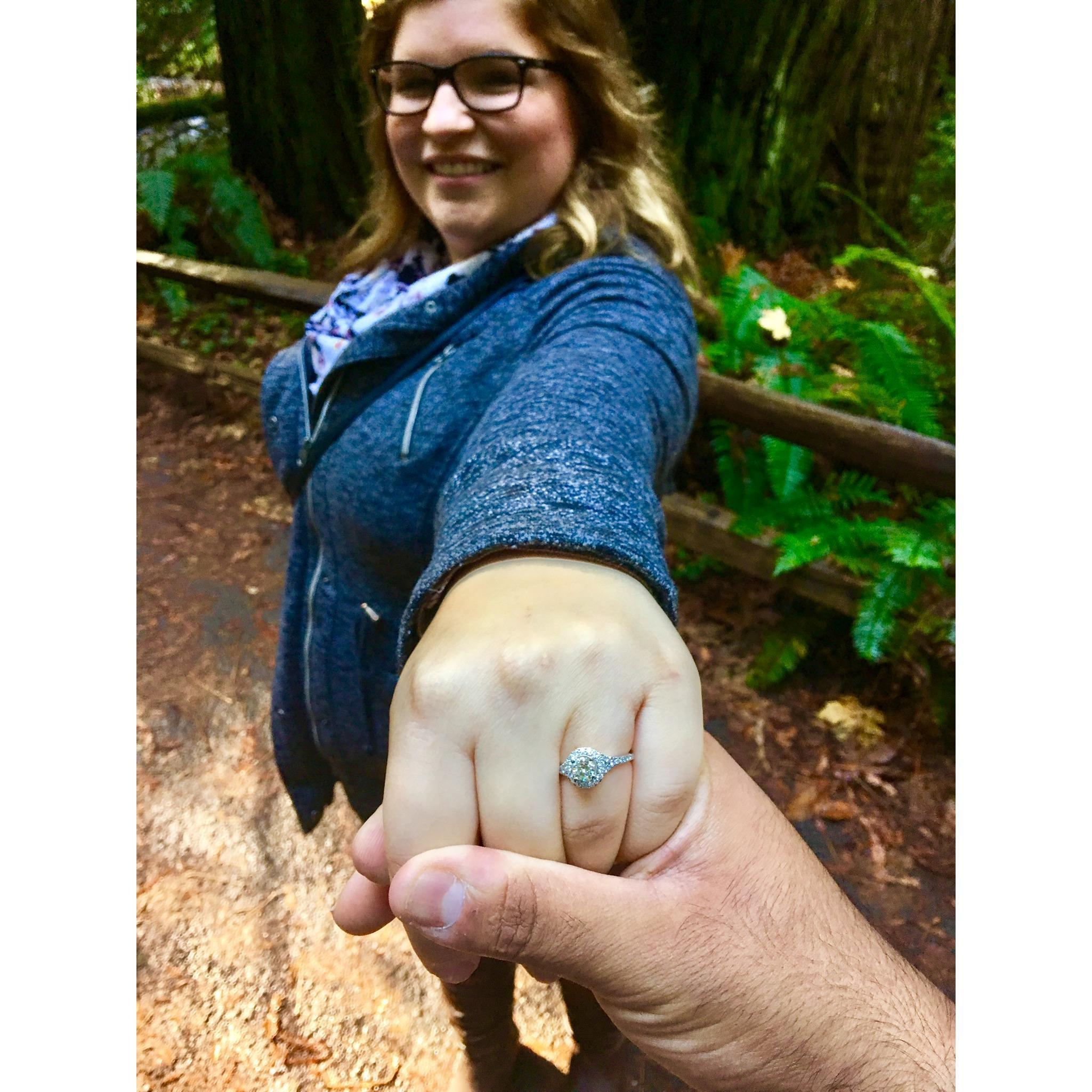 The Proposal - 11.11.2017