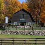 Springbrook Hollow Farm Distillery