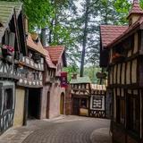 Enchanted Forest