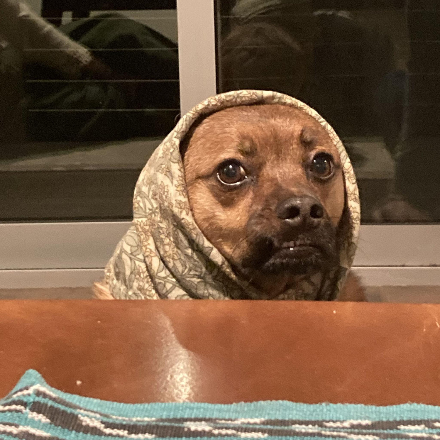 Poozle