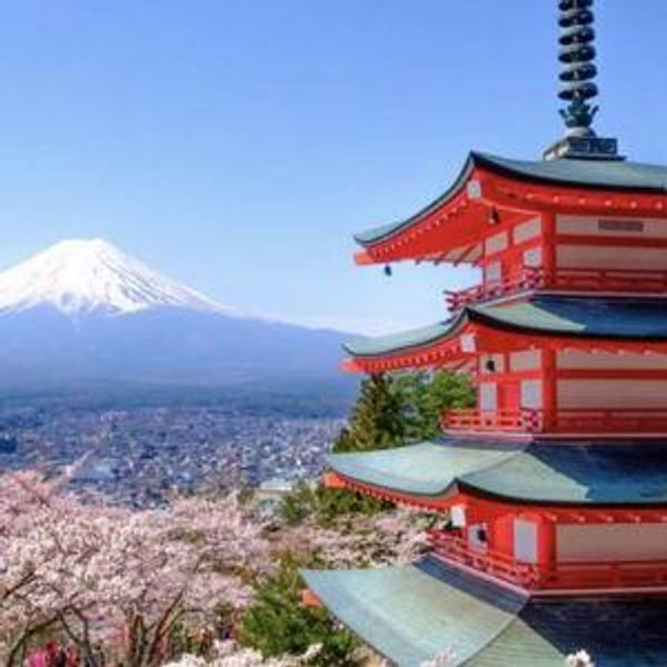 ✈️ Our Honeymoon Fund 🇯🇵