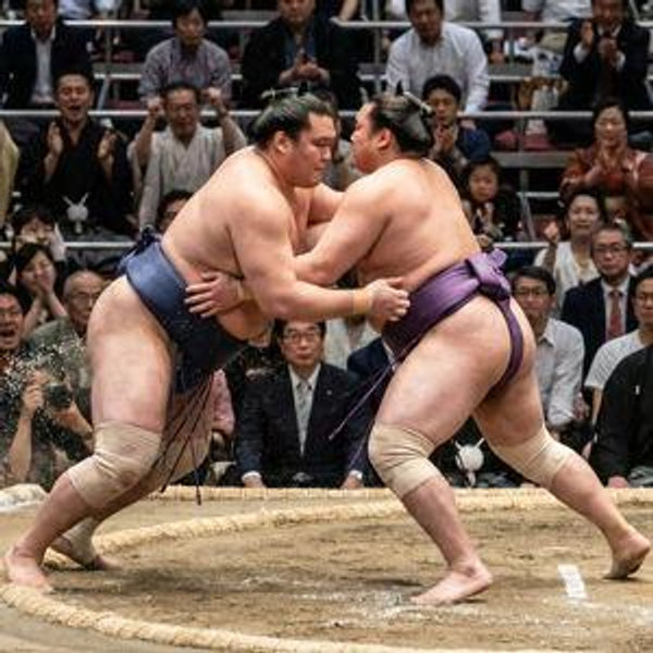 Ringside sumo wrestling