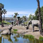 La Brea Tar Pits and Museum