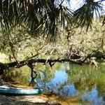 Go Kayaking Tours