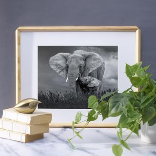 Portrait Frame, Set of 2