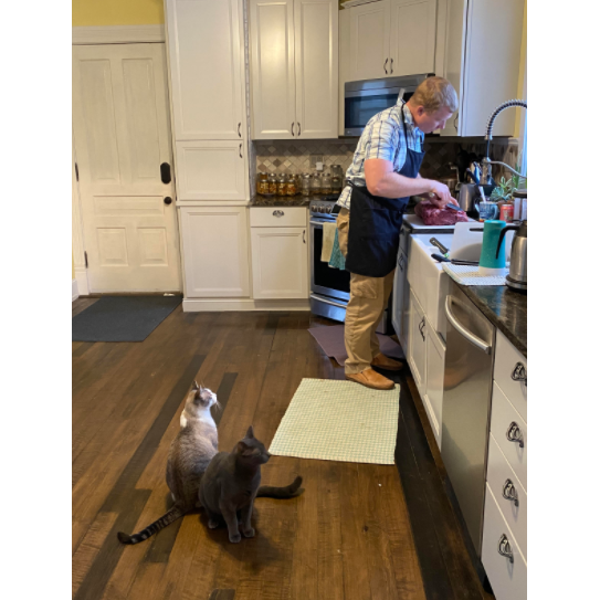 Kitties hoping to get a snack