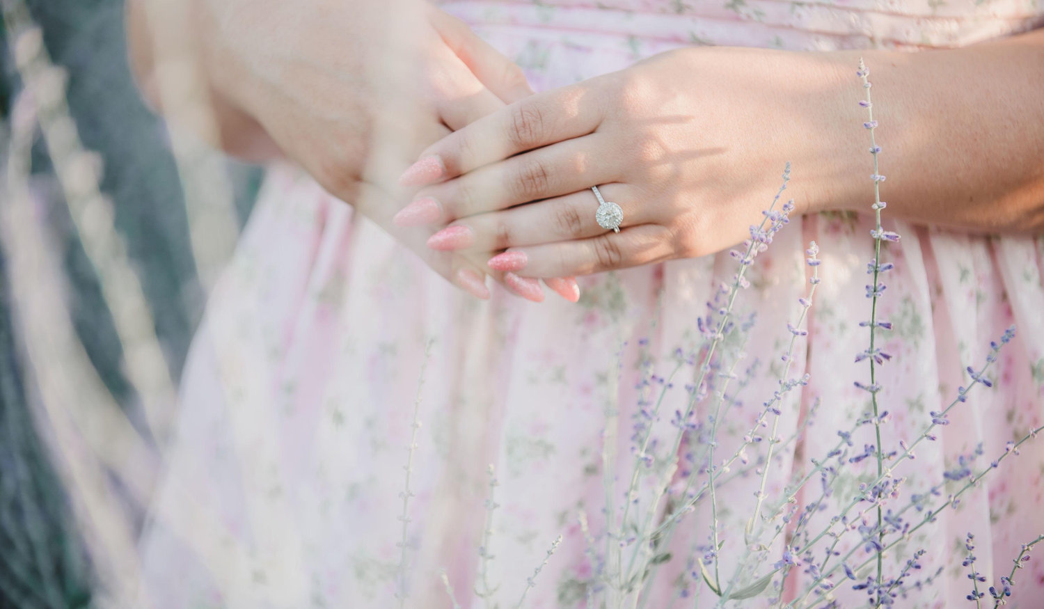 Footer image