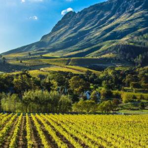 Private Full Day Cape Wineland Tour-Franschoek