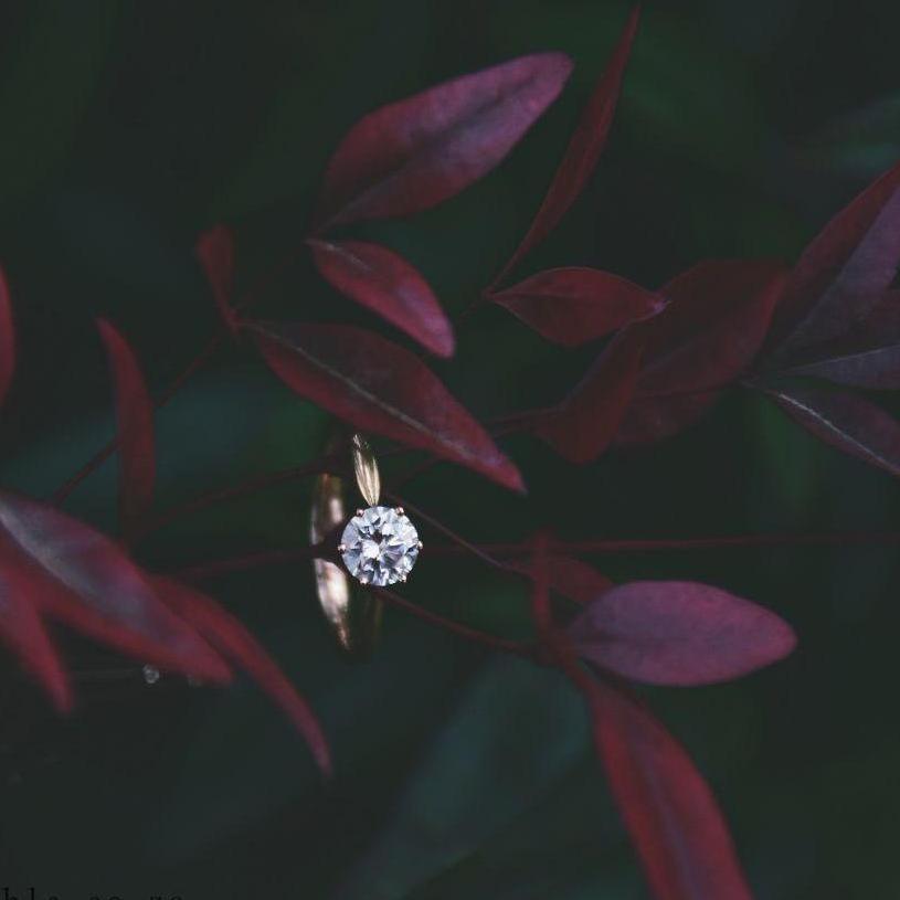 The engagement ring