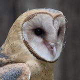 Schlitz Audubon Nature Center