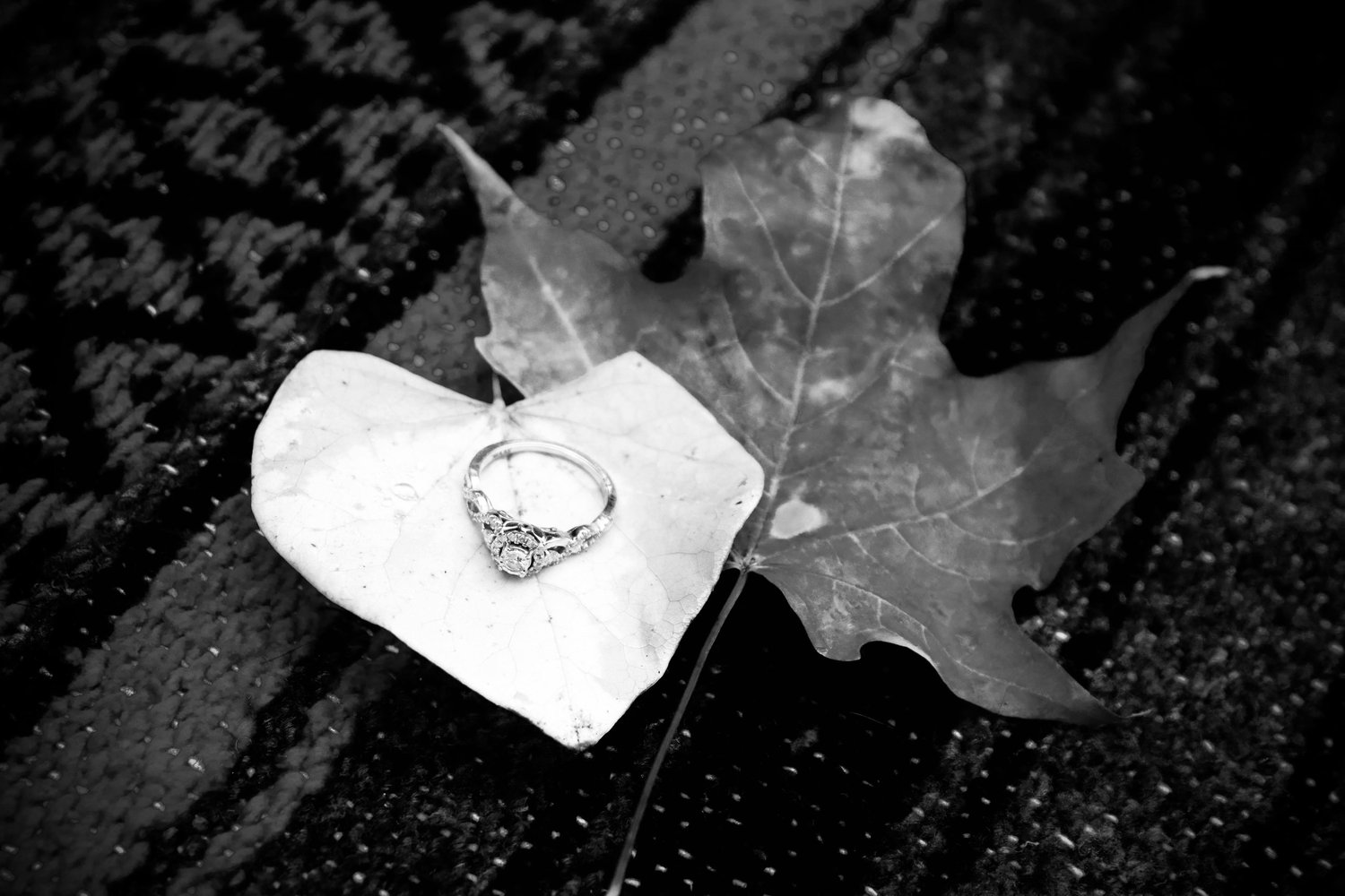 The Wedding Website of Sarah Brimeyer and Bret Miller
