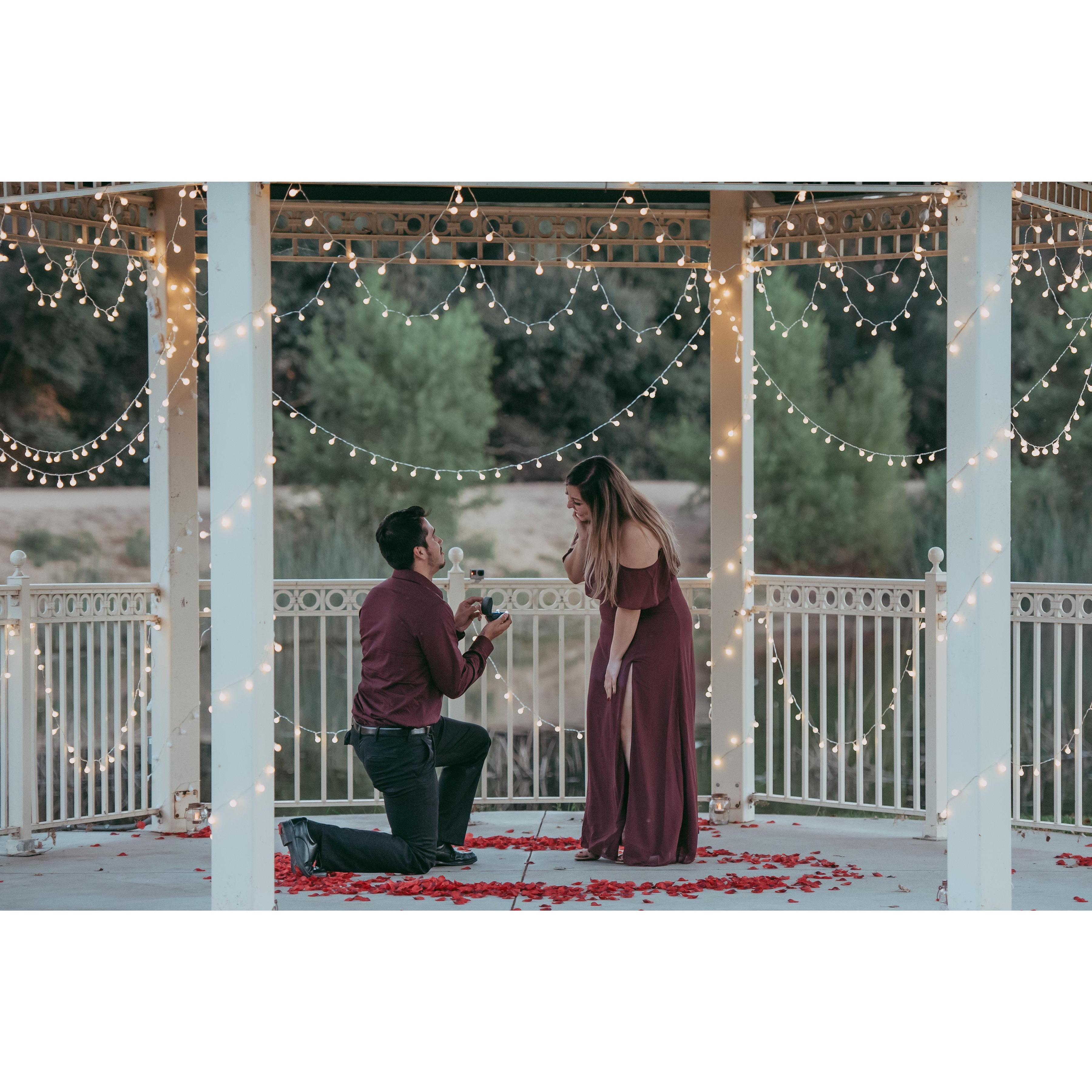 To getting engaged!