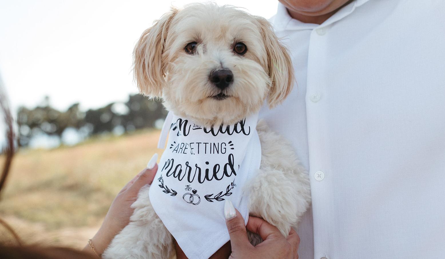The Wedding Website of Giselle Gomez and Juan Zamorano