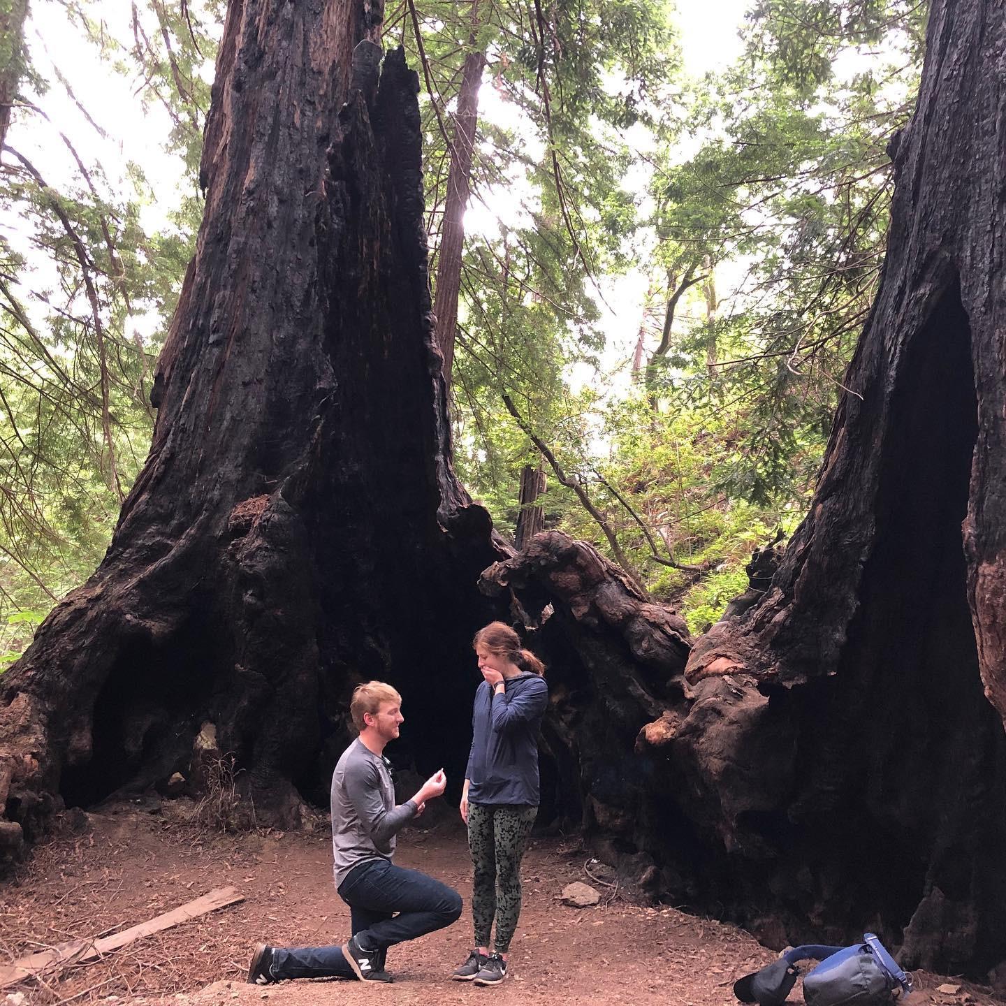Engaged!  Lime Kiln State Park, Big Sur, CA