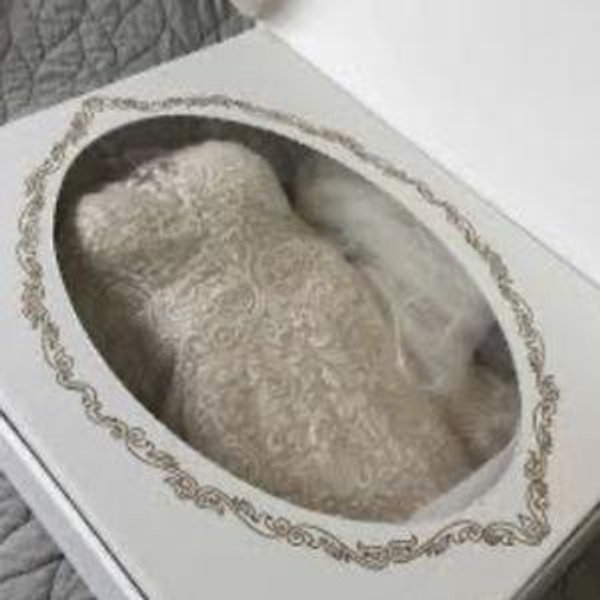 Wedding Dress Preservation Cleaning