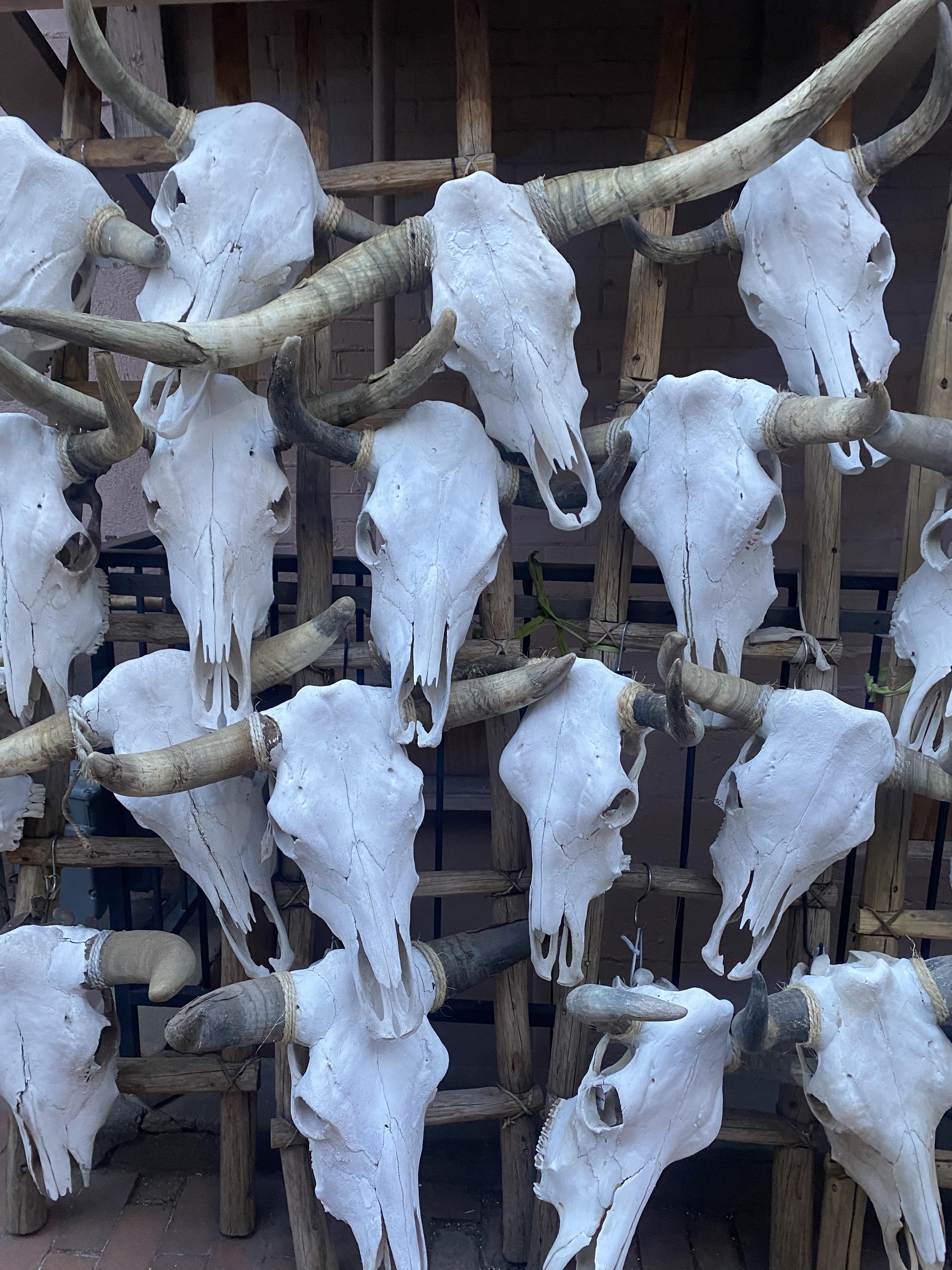 The Wedding Website of Nate Stern and Iris Williamson