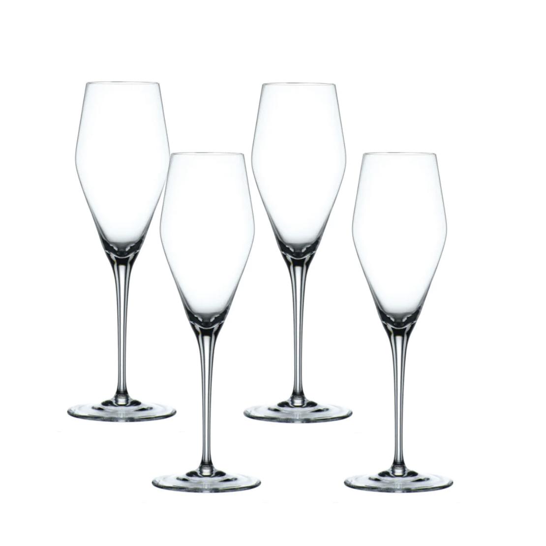 Vinova - Champagne Glass (Set of 4)