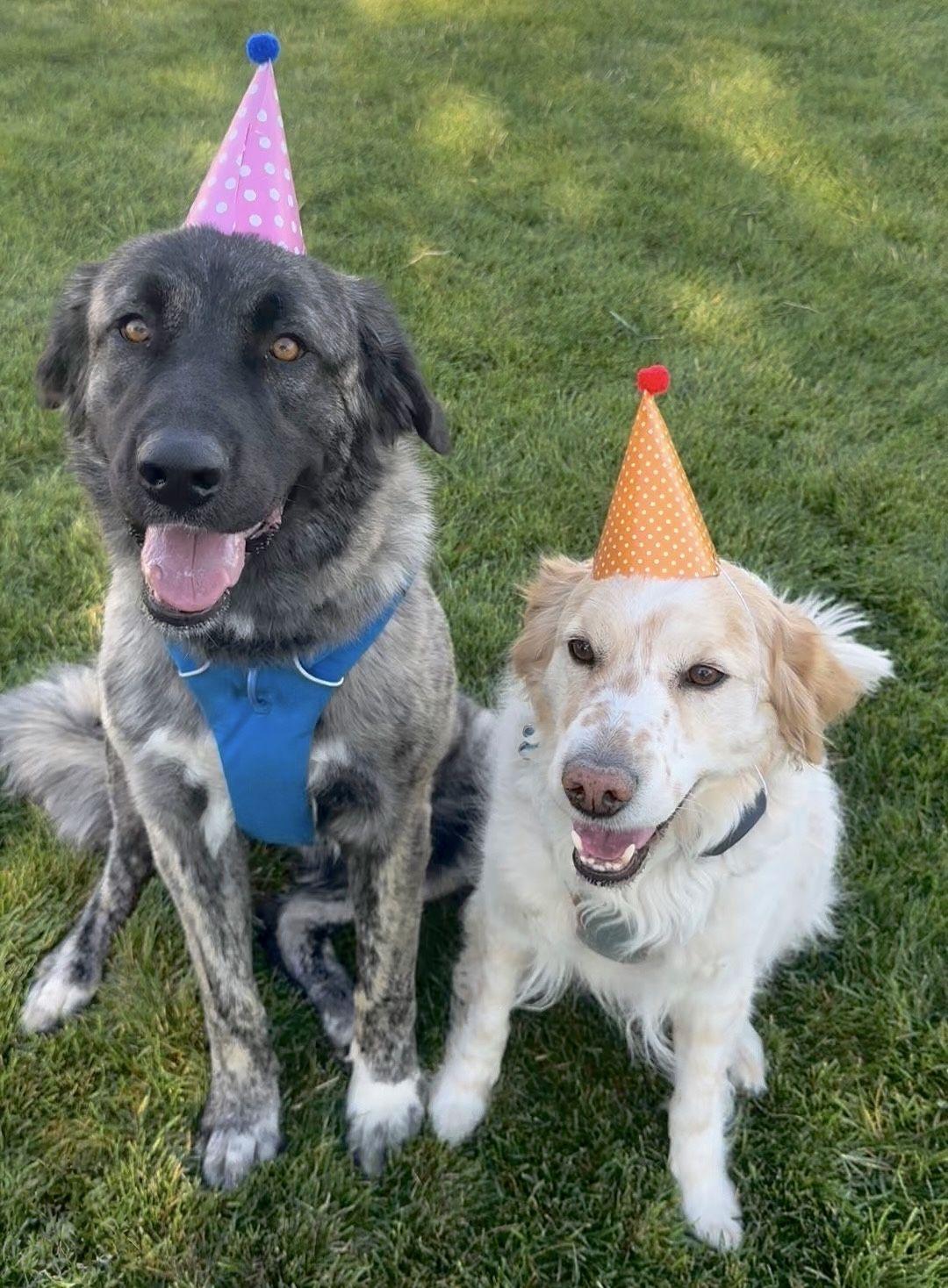 The Wedding Website of Skyler Cozzens and Christopher Riordan