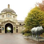 Bronx Zoo