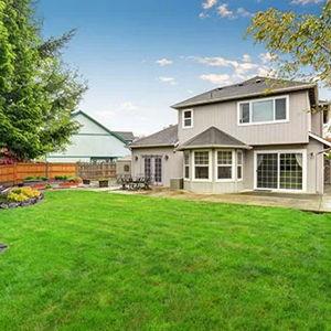 Backyard Grading and Yard Landscaping