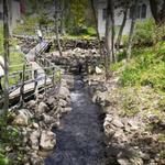 Damariscotta Mills Fish Restoration Ladder