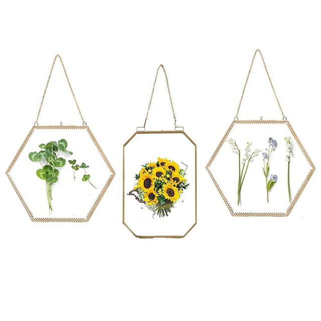 LONGWIN Bundle of 1pc 6 x 8 Gold Hanging Frame and 2pcs 9.4 Inch Hexagon Glass Frame for Pressed Flowers, Frame Only