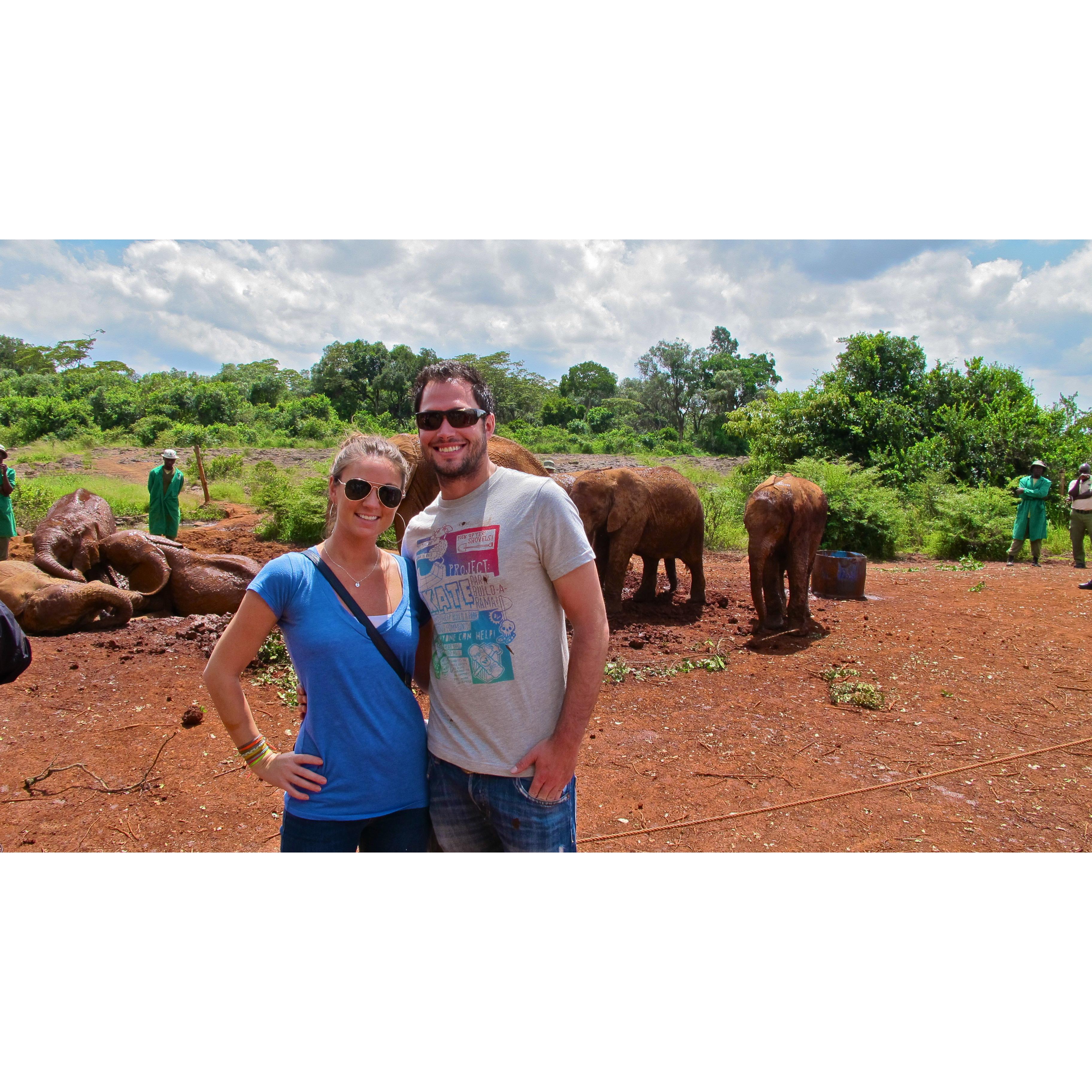 Baby elephants in Kenya!