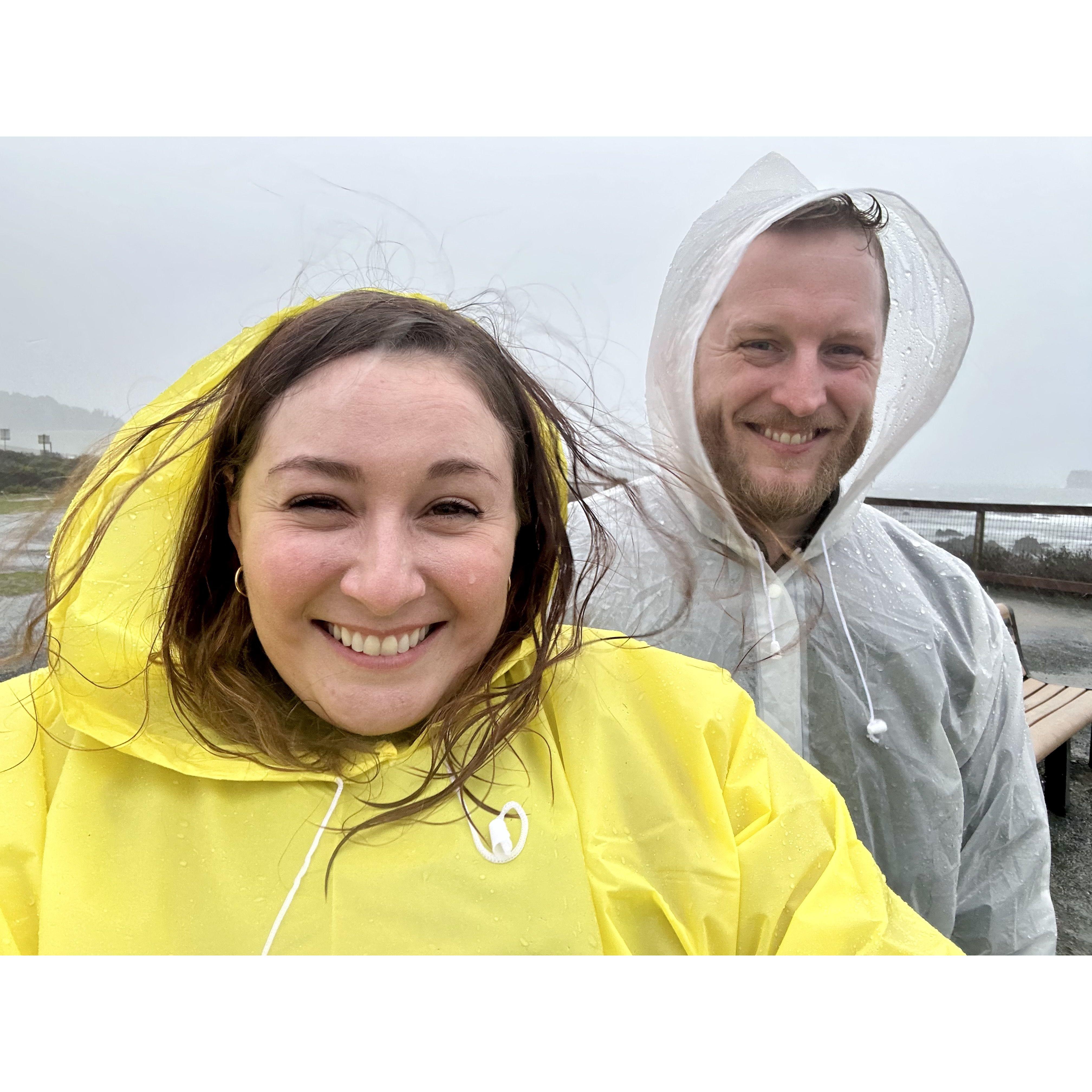 Torrential downpour while seeing elephant seals after visiting Hearst Castle- San Simeon, CA.