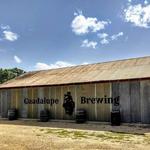 🍺 Guadalupe Brewing Company & Pizza Kitchen