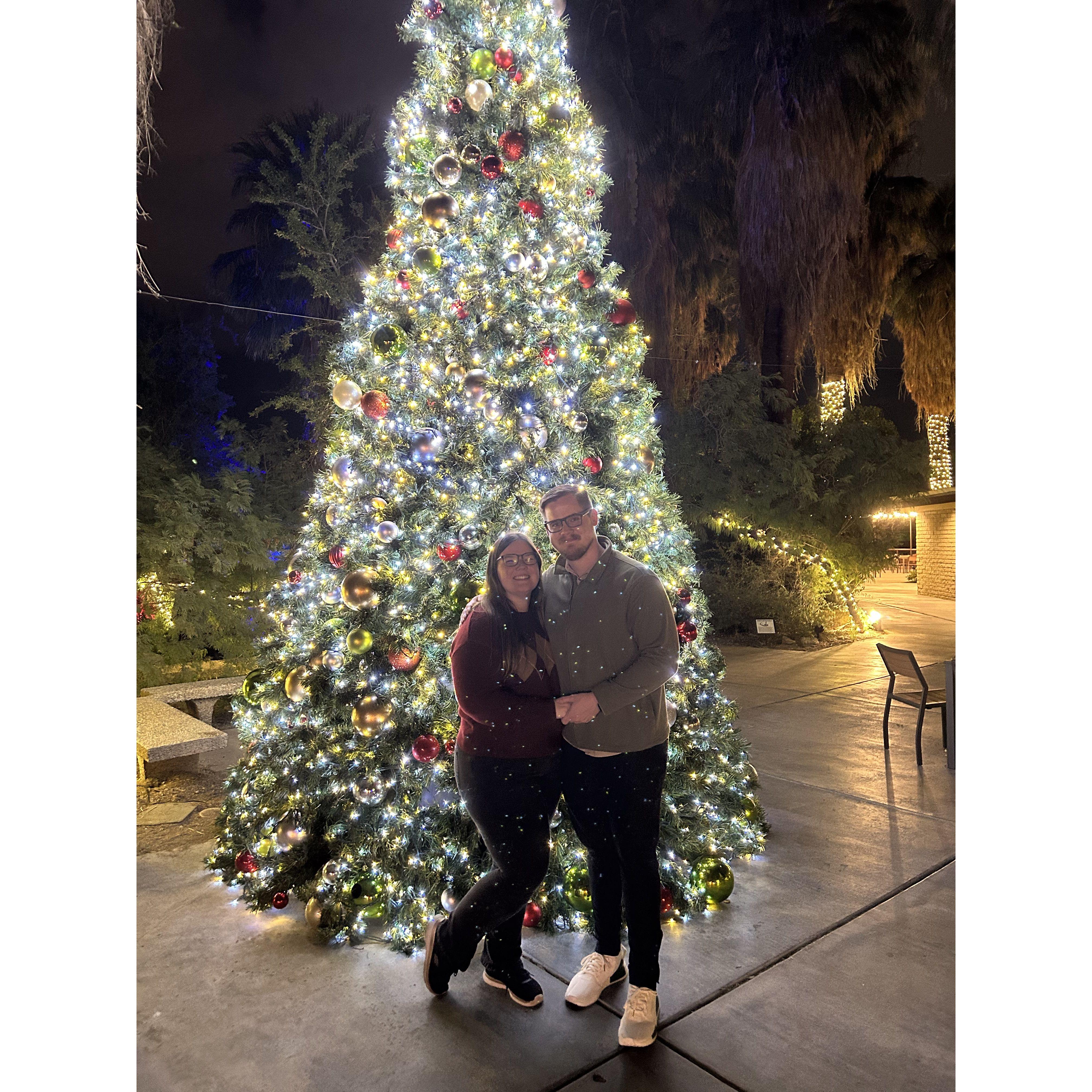 Night Lights at the Living Desert