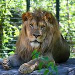 Blank Park Zoo