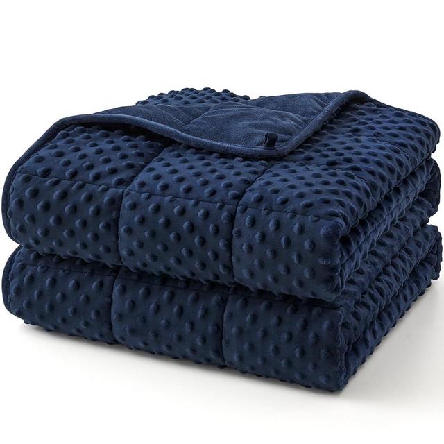 Topcee Weighted Blanket for Adults Queen, Minky Dots Heavy Blanket for Woman, Man Sleeping, Soft, Cozy and Cooling Weighted Throw Blankets, Machine Washable, 60 x 80in, 20 lbs, Blue